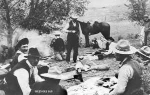 Okanagan Cattle